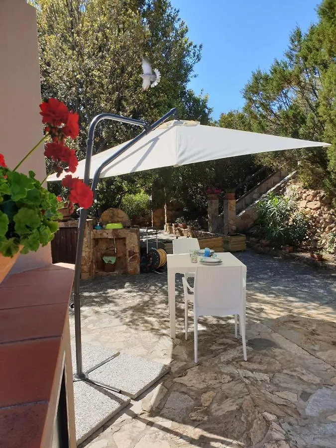 Villa Alice E Silvia - Chia Daire
